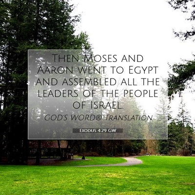 Picture 07 - Exodus 4:29 GW - Then Moses and Aaron went to Egypt and assembled - Bible Verse Picture