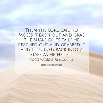 Picture 07 - Exodus 4:4 GW - Then the Lord said to Moses, “Reach out and - Bible Verse Picture