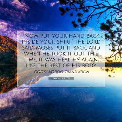 Picture 07 - Exodus 4:7 GW - “Now put your hand back inside your shirt,” - Bible Verse Picture