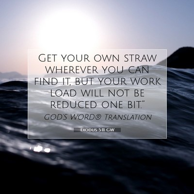 Picture 07 - Exodus 5:11 GW - Get your own straw wherever you can find it, but - Bible Verse Picture