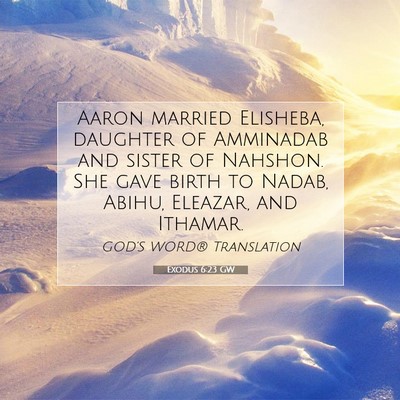 Picture 07 - Exodus 6:23 GW - Aaron married Elisheba, daughter of Amminadab and - Bible Verse Picture