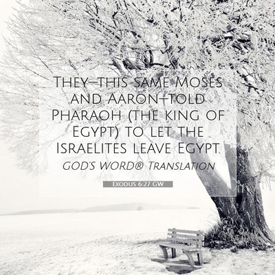 Picture 07 - Exodus 6:27 GW - They—this same Moses and Aaron—told Pharaoh - Bible Verse Picture