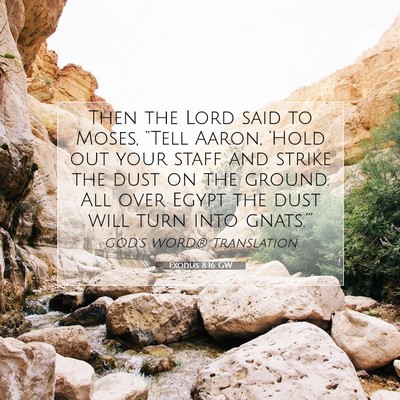 Picture 07 - Exodus 8:16 GW - Then the Lord said to Moses, “Tell Aaron, - Bible Verse Picture