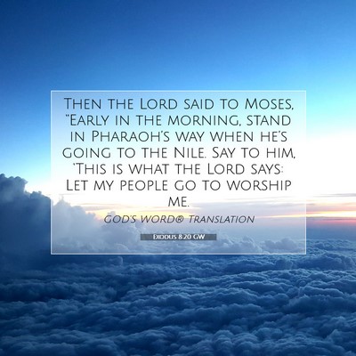 Picture 07 - Exodus 8:20 GW - Then the Lord said to Moses, “Early in the - Bible Verse Picture
