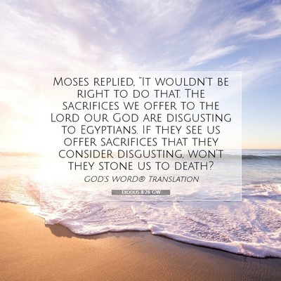 Picture 07 - Exodus 8:26 GW - Moses replied, “It wouldn’t be right to do - Bible Verse Picture