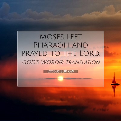 Picture 07 - Exodus 8:30 GW - Moses left Pharaoh and prayed to the - Bible Verse Picture