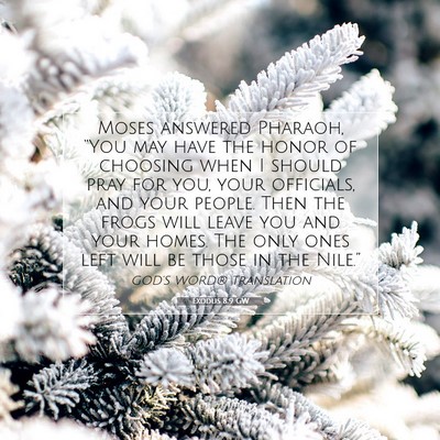 Picture 07 - Exodus 8:9 GW - Moses answered Pharaoh, “You may have the honor - Bible Verse Picture
