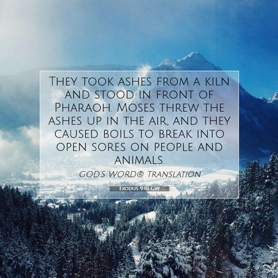 Picture 07 - Exodus 9:10 GW - They took ashes from a kiln and stood in front of - Bible Verse Picture