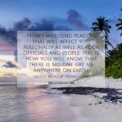 Picture 07 - Exodus 9:14 GW - Now I will send plagues that will affect you - Bible Verse Picture