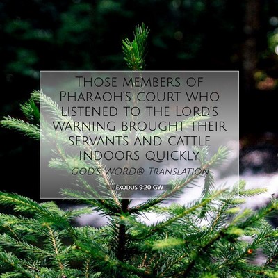 Picture 07 - Exodus 9:20 GW - Those members of Pharaoh’s court who listened - Bible Verse Picture