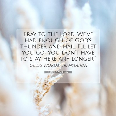 Picture 07 - Exodus 9:28 GW - Pray to the Lord. We’ve had enough of God’s - Bible Verse Picture