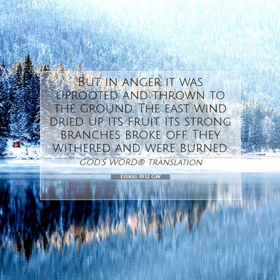 Picture 07 - Ezekiel 19:12 GW - But in anger it was uprooted and thrown to the - Bible Verse Picture