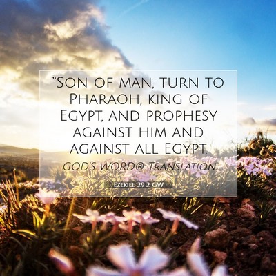 Picture 07 - Ezekiel 29:2 GW - “Son of man, turn to Pharaoh, king of Egypt, - Bible Verse Picture