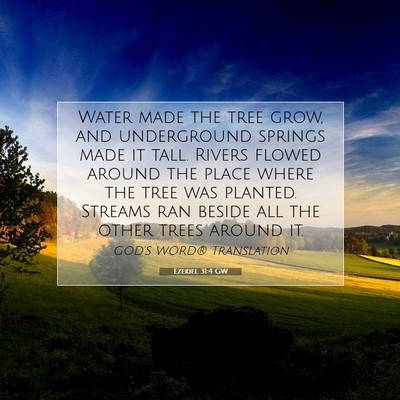 Picture 07 - Ezekiel 31:4 GW - Water made the tree grow, and underground springs - Bible Verse Picture
