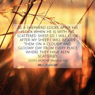 Picture 07 - Ezekiel 34:12 GW - As a shepherd looks after his flock when he is - Bible Verse Picture