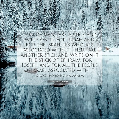 Picture 07 - Ezekiel 37:16 GW - “Son of man, take a stick and write on it: - Bible Verse Picture