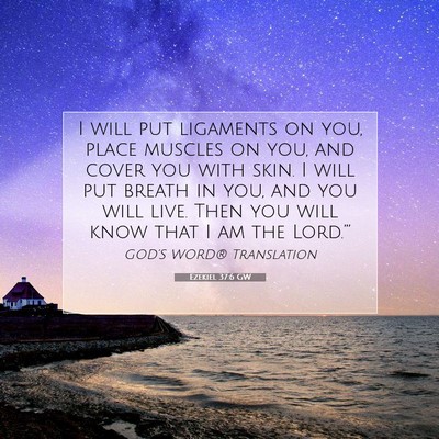 Picture 07 - Ezekiel 37:6 GW - I will put ligaments on you, place muscles on - Bible Verse Picture