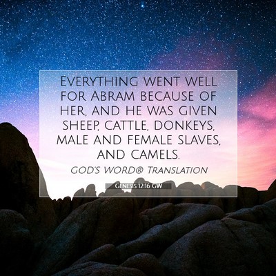 Picture 07 - Genesis 12:16 GW - Everything went well for Abram because of her, - Bible Verse Picture