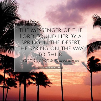 Picture 07 - Genesis 16:7 GW - The Messenger of the Lord found her by a spring - Bible Verse Picture