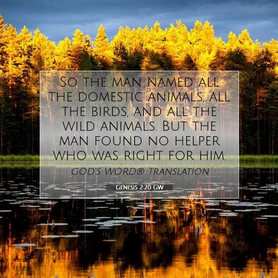 Picture 07 - Genesis 2:20 GW - So the man named all the domestic animals, all - Bible Verse Picture