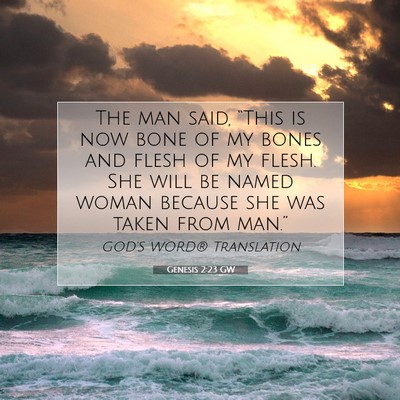 Picture 07 - Genesis 2:23 GW - The man said, “This is now bone of my bones and - Bible Verse Picture