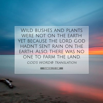 Picture 07 - Genesis 2:5 GW - Wild bushes and plants were not on the earth yet - Bible Verse Picture