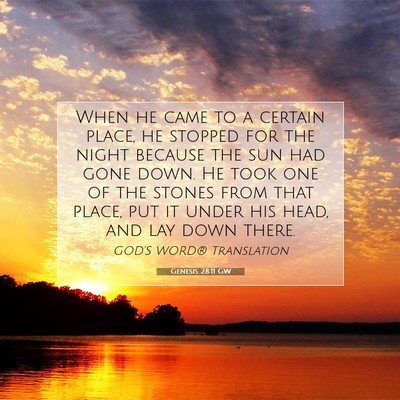 Picture 07 - Genesis 28:11 GW - When he came to a certain place, he stopped for - Bible Verse Picture