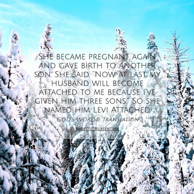 Picture 07 - Genesis 29:34 GW - She became pregnant again and gave birth to - Bible Verse Picture