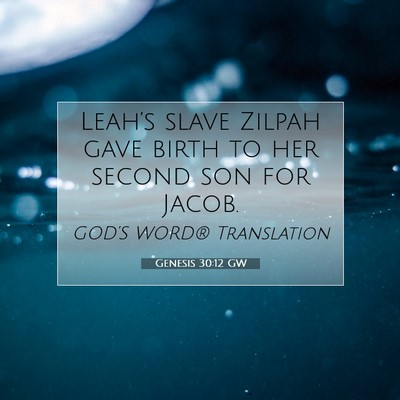 Picture 07 - Genesis 30:12 GW - Leah’s slave Zilpah gave birth to her second - Bible Verse Picture