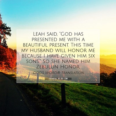 Picture 07 - Genesis 30:20 GW - Leah said, “God has presented me with a - Bible Verse Picture