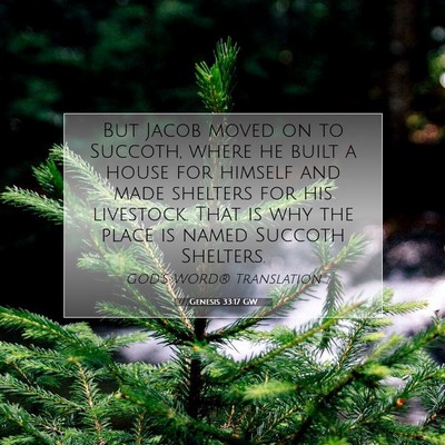 Picture 07 - Genesis 33:17 GW - But Jacob moved on to Succoth, where he built a - Bible Verse Picture