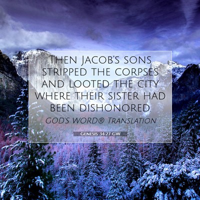 Picture 07 - Genesis 34:27 GW - Then Jacob’s sons stripped the corpses and - Bible Verse Picture