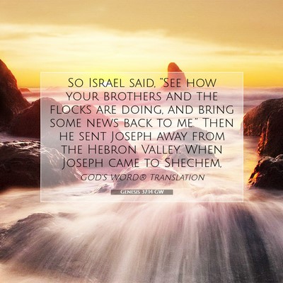 Picture 07 - Genesis 37:14 GW - So Israel said, “See how your brothers and the - Bible Verse Picture