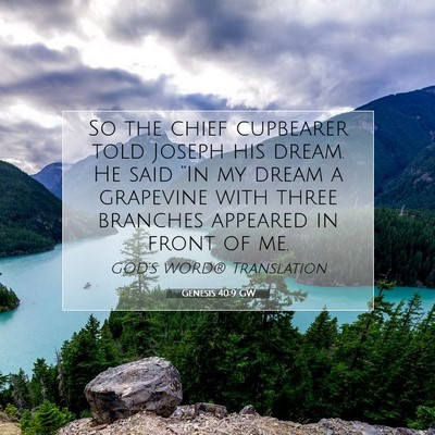 Picture 07 - Genesis 40:9 GW - So the chief cupbearer told Joseph his dream. He - Bible Verse Picture