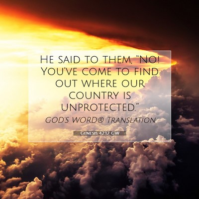 Picture 07 - Genesis 42:12 GW - He said to them, “No! You’ve come to find out - Bible Verse Picture