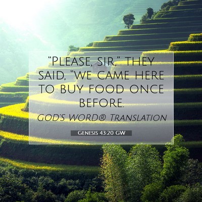 Picture 07 - Genesis 43:20 GW - “Please, sir,” they said, “we came here to - Bible Verse Picture