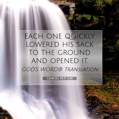 Picture 07 - Genesis 44:11 GW - Each one quickly lowered his sack to the ground - Bible Verse Picture