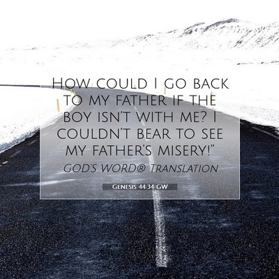 Picture 07 - Genesis 44:34 GW - How could I go back to my father if the boy - Bible Verse Picture
