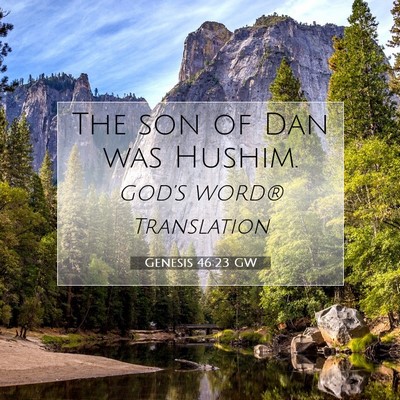 Picture 07 - Genesis 46:23 GW - The son of Dan was - Bible Verse Picture