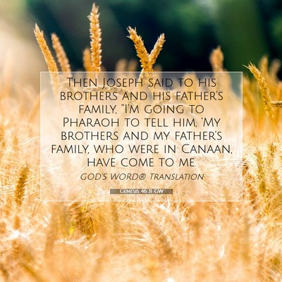 Picture 07 - Genesis 46:31 GW - Then Joseph said to his brothers and his - Bible Verse Picture