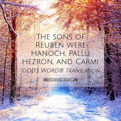 Picture 07 - Genesis 46:9 GW - The sons of Reuben were Hanoch, Pallu, Hezron, - Bible Verse Picture