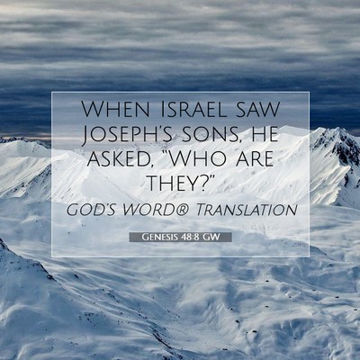 Picture 07 - Genesis 48:8 GW - When Israel saw Joseph’s sons, he asked, “Who - Bible Verse Picture