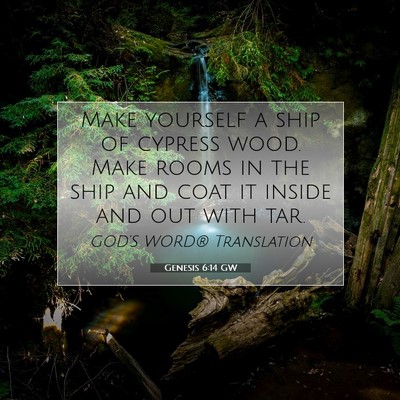 Picture 07 - Genesis 6:14 GW - Make yourself a ship of cypress wood. Make rooms - Bible Verse Picture