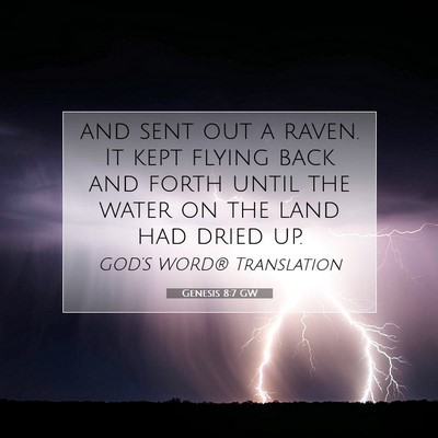 Picture 07 - Genesis 8:7 GW - and sent out a raven. It kept flying back and - Bible Verse Picture