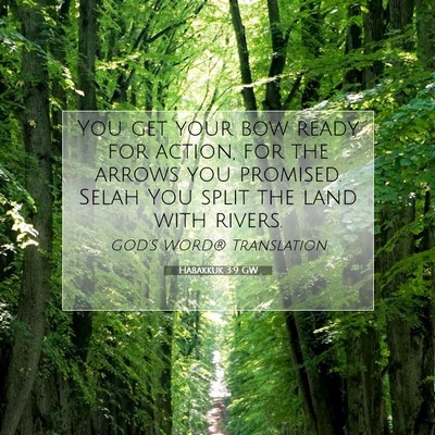 Picture 07 - Habakkuk 3:9 GW - You get your bow ready for action, for the arrows - Bible Verse Picture