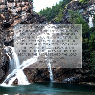 Picture 07 - Haggai 1:12 GW - Then Zerubbabel (who was the son of Shealtiel), - Bible Verse Picture