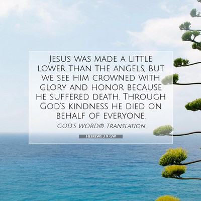 Picture 07 - Hebrews 2:9 GW - Jesus was made a little lower than the angels, - Bible Verse Picture