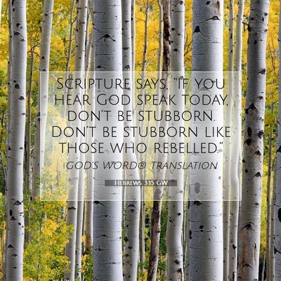 Picture 07 - Hebrews 3:15 GW - Scripture says, “If you hear God speak today, - Bible Verse Picture