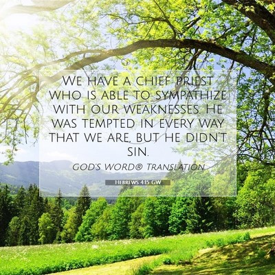 Picture 07 - Hebrews 4:15 GW - We have a chief priest who is able to sympathize - Bible Verse Picture
