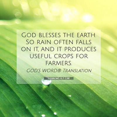 Picture 07 - Hebrews 6:7 GW - God blesses the earth. So rain often falls on it, - Bible Verse Picture